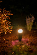 Low bollard-style garden light illuminating a planting bed