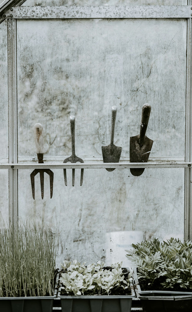 Set of handheld garden tools hanging on a rack
