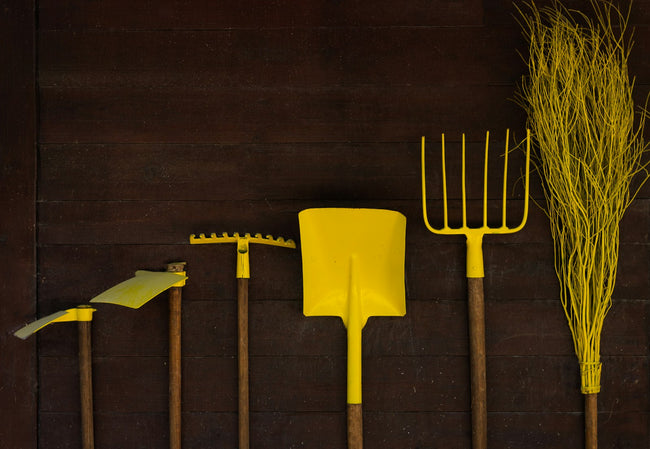 Row of garden hand tools laid out on a wooden surface